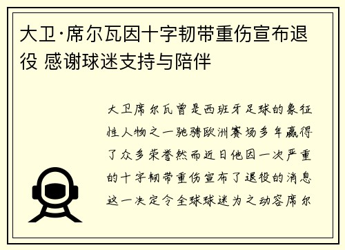 大卫·席尔瓦因十字韧带重伤宣布退役 感谢球迷支持与陪伴